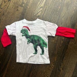 Kids Christmas Shirt - Dinosaur Santa hat graphic long-sleeved tee size 4T youth